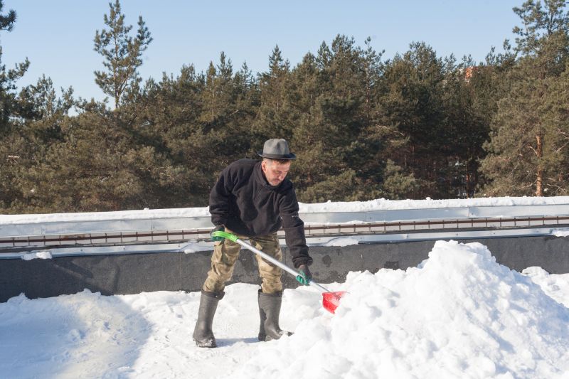 Construction Site with Winter Backdrop